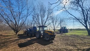 Manual de manejo del cultivo de Pecán – Etapas Fenológicas