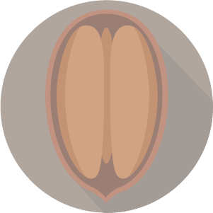 Nueva Comisión Directiva de la CAPPecán