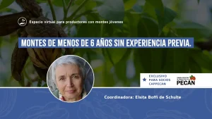 ESPACIO VIRTUAL para productores con montes jóvenes Abril 2025