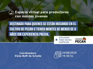 ESPACIO VIRTUAL para productores con montes jóvenes Junio 2025