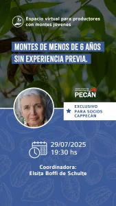 ESPACIO VIRTUAL para productores con montes jóvenes Julio 2025