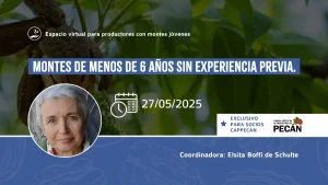 ESPACIO VIRTUAL para productores con montes jóvenes Mayo 2025